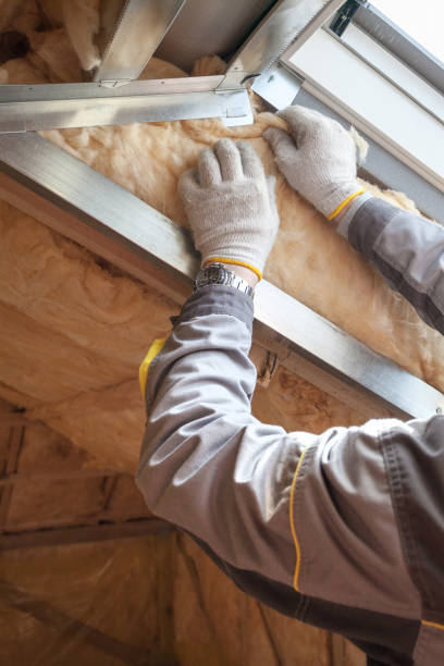 Best Insulation Installation Services in Hillsboro, KS
